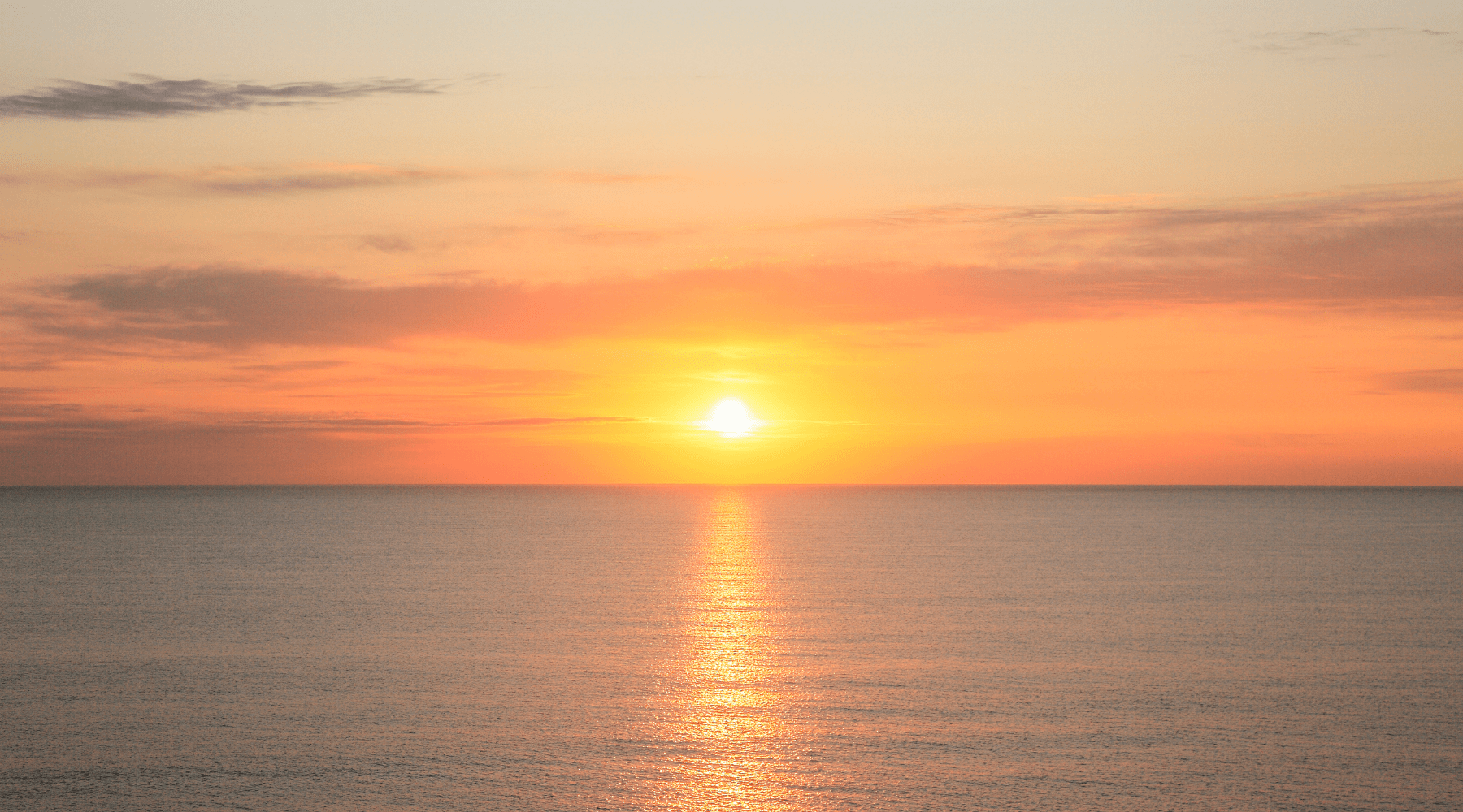 The WOW List: 52 Weekly Sparks to Make 2026 Your Most Joyful Year Yet