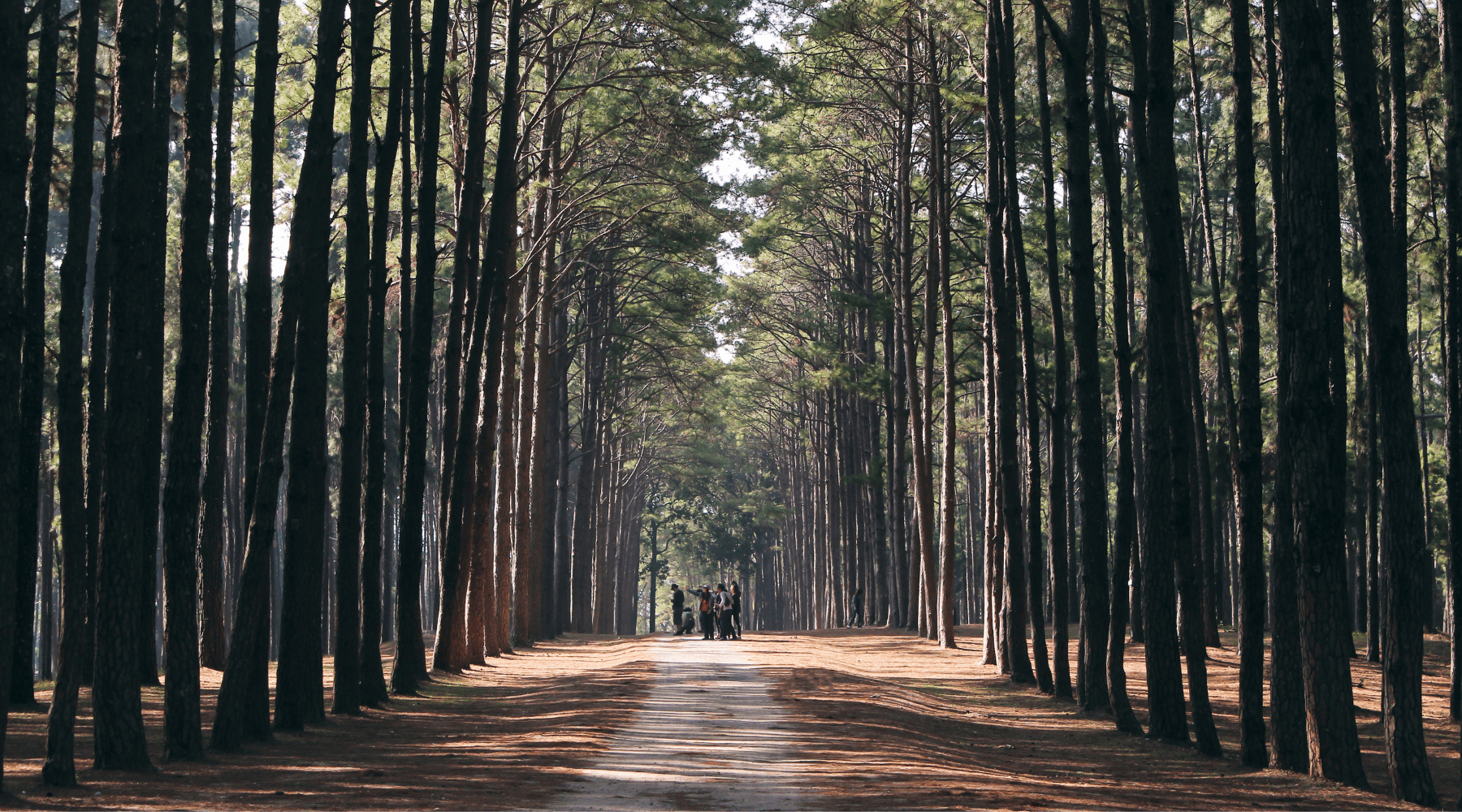 The Healing Power of Nature: Discover the Benefits of Outdoor Activities for Self-Care