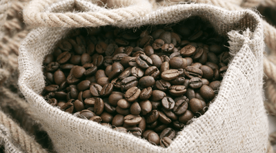 Exploring the Rich World of Coffee: Types of Beans and Roasting Techniques