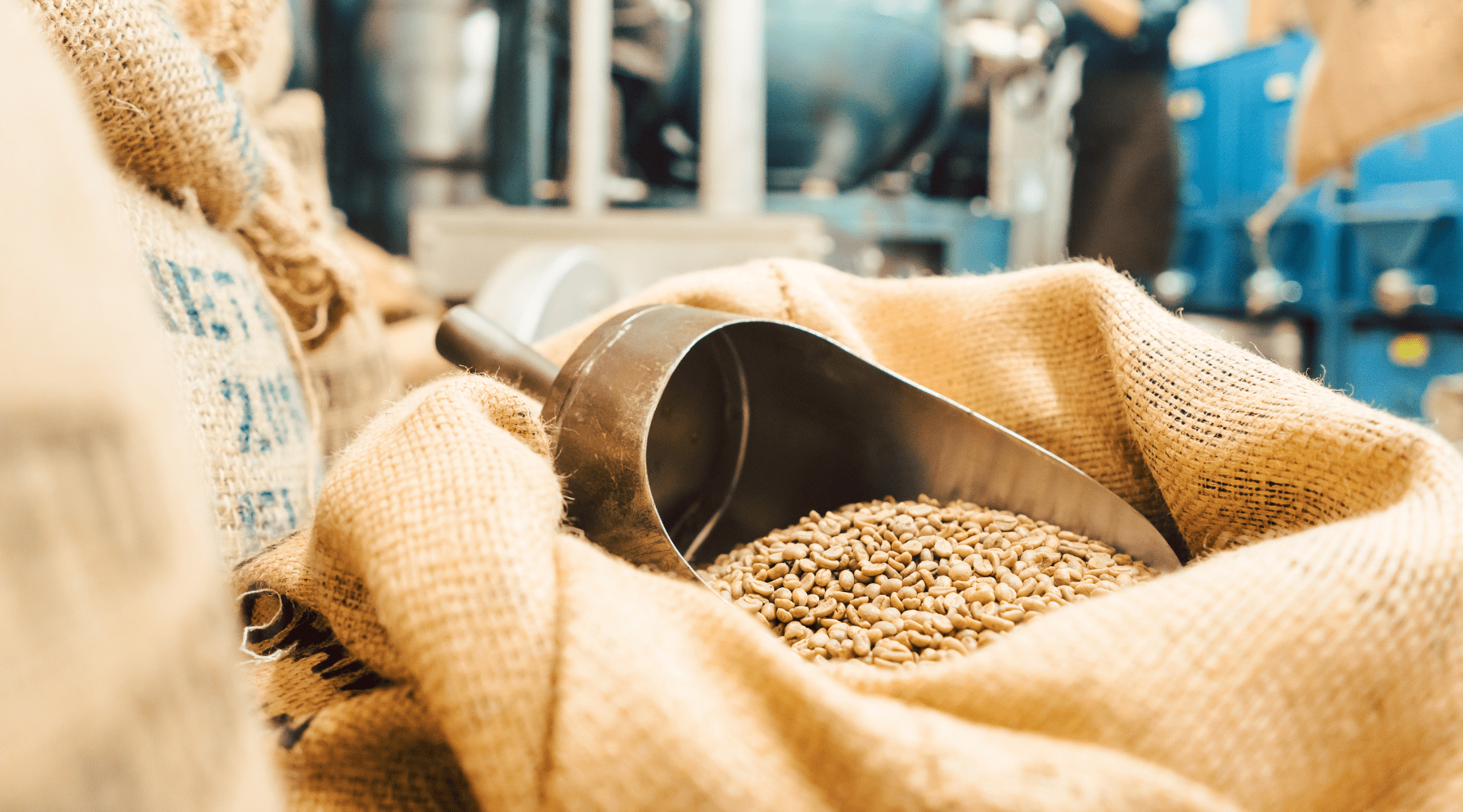 Brewing Success: Trends Café Owners Need to Watch in 2024